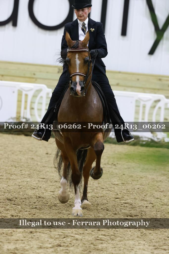 Proof 24R13_06262