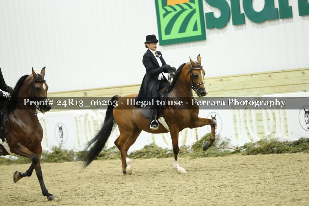 Proof 24R13_06263