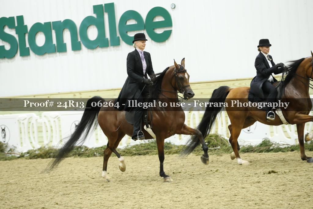 Proof 24R13_06264