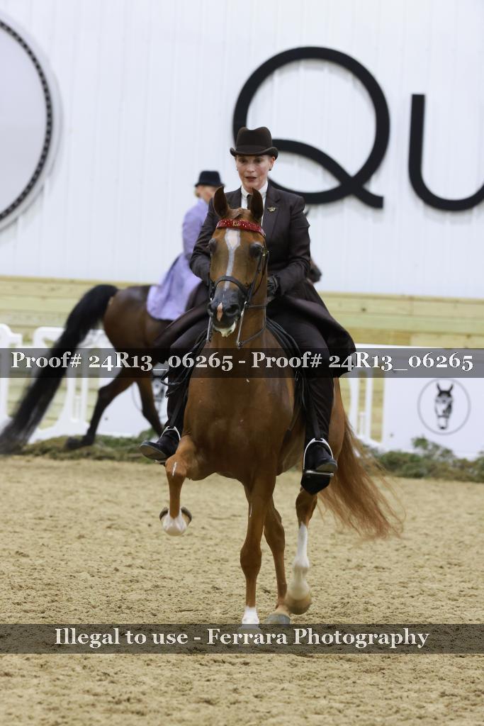 Proof 24R13_06265