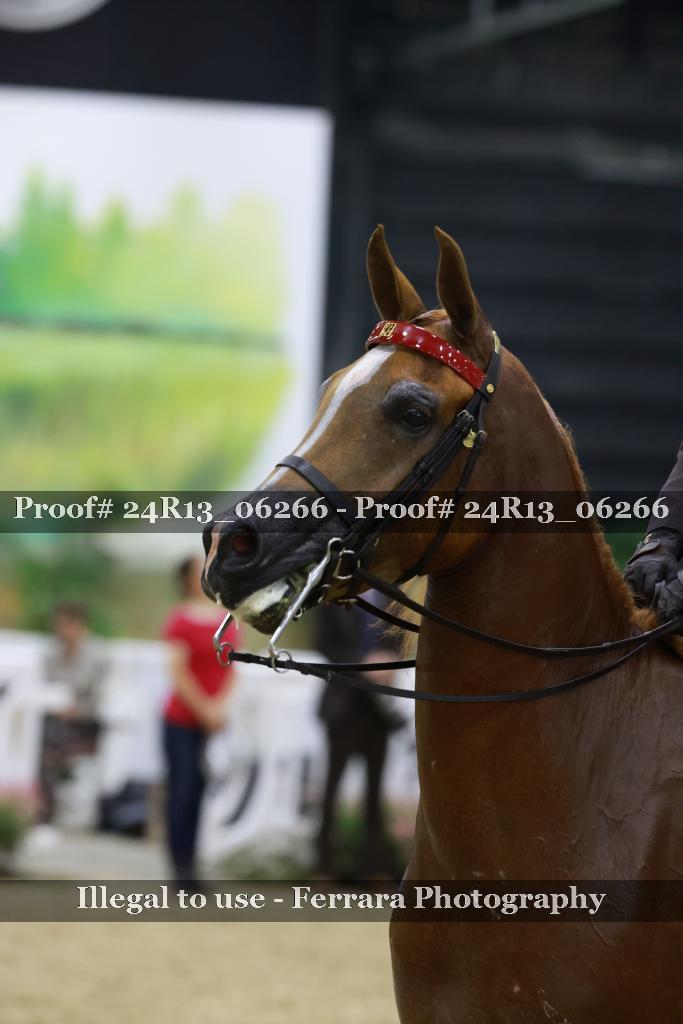 Proof 24R13_06266