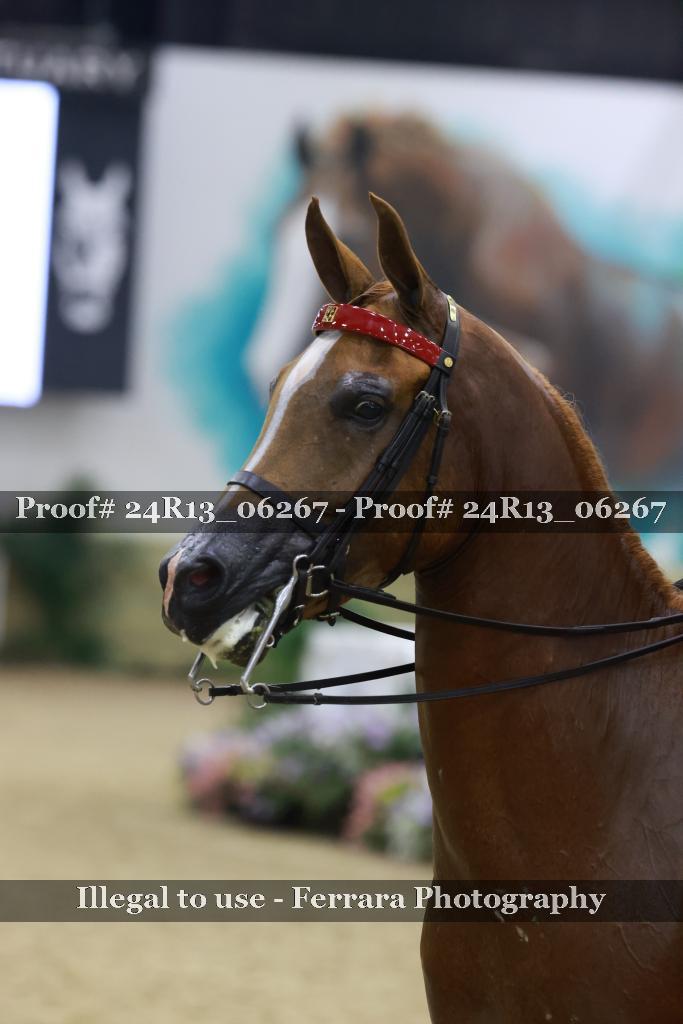 Proof 24R13_06267