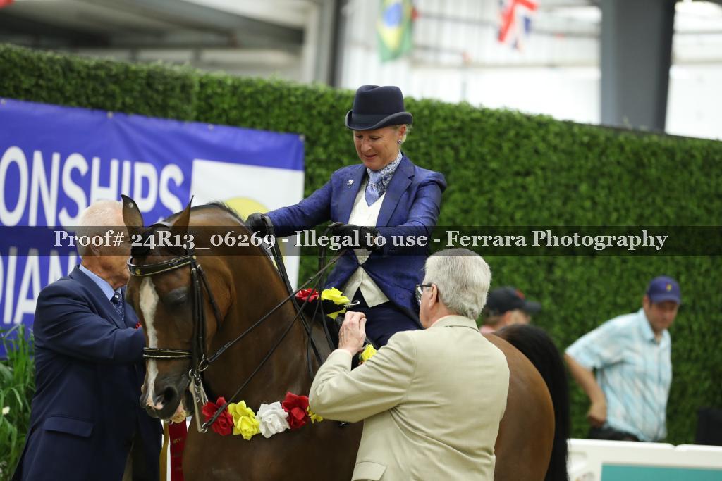 Proof 24R13_06269
