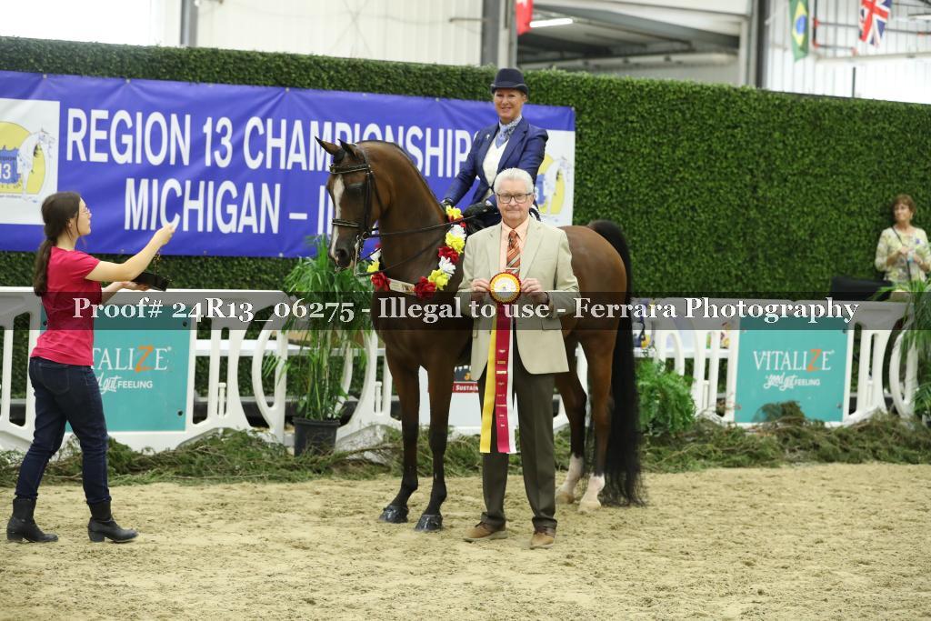 Proof 24R13_06275