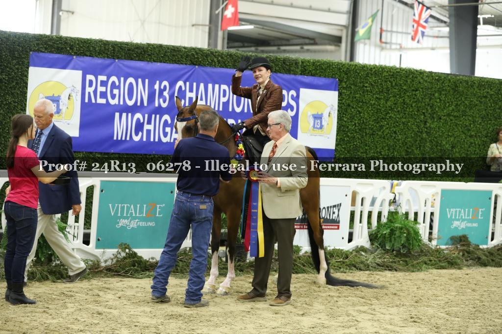 Proof 24R13_06278