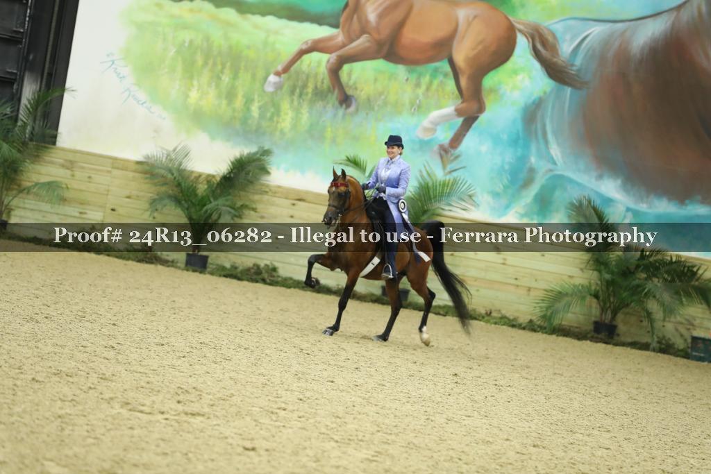 Proof 24R13_06282