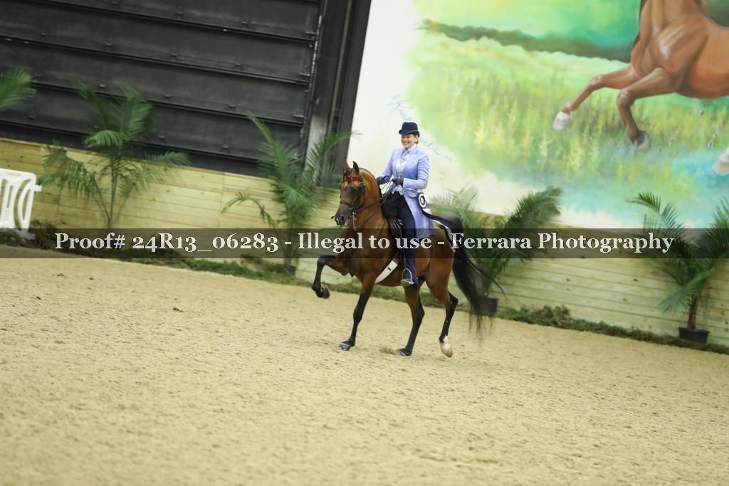 Proof 24R13_06283