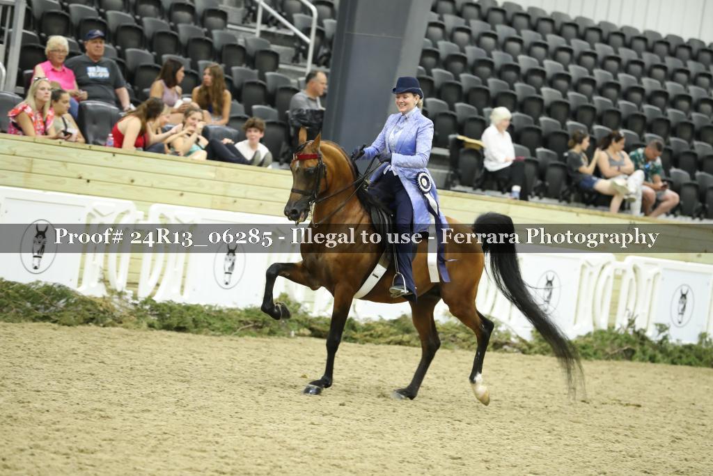 Proof 24R13_06285