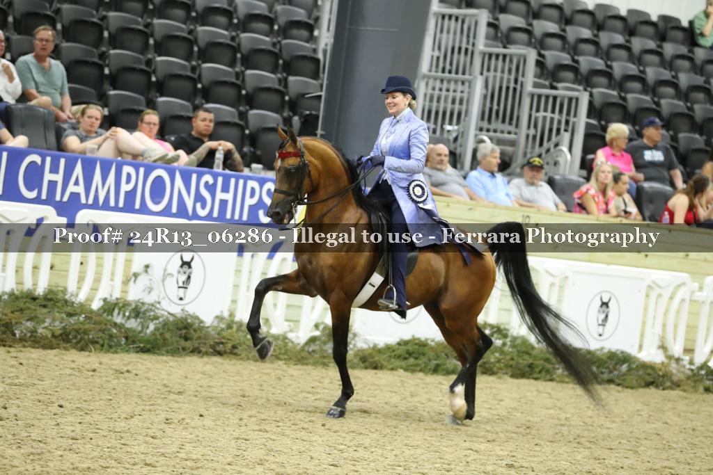 Proof 24R13_06286