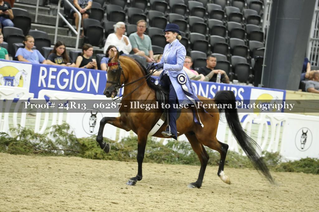 Proof 24R13_06287