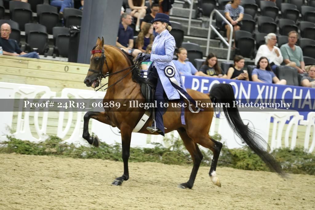 Proof 24R13_06289