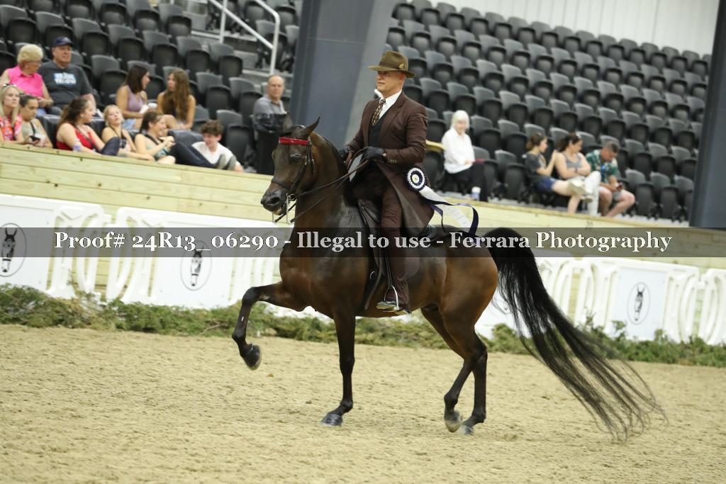 Proof 24R13_06290