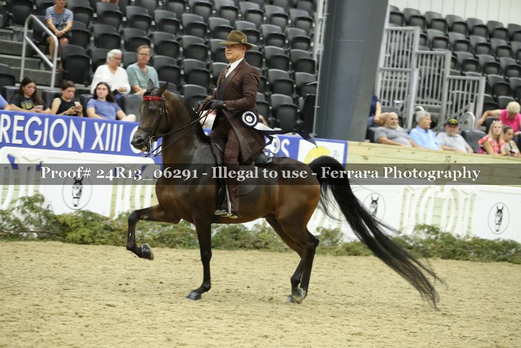 Proof 24R13_06291
