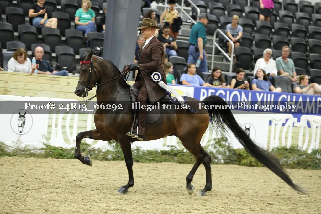Proof 24R13_06292