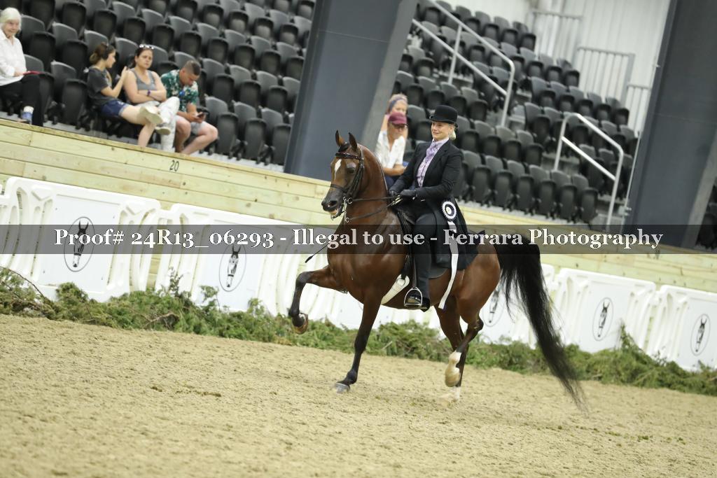 Proof 24R13_06293