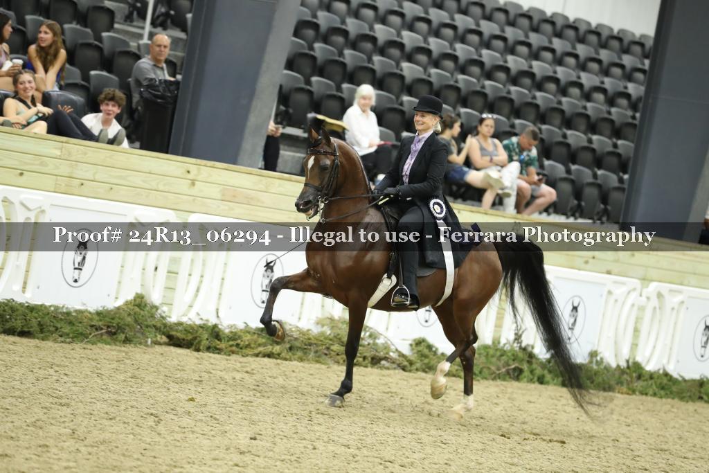 Proof 24R13_06294