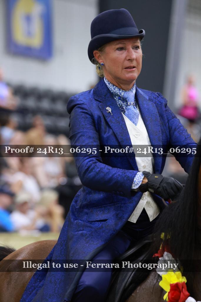 Proof 24R13_06295