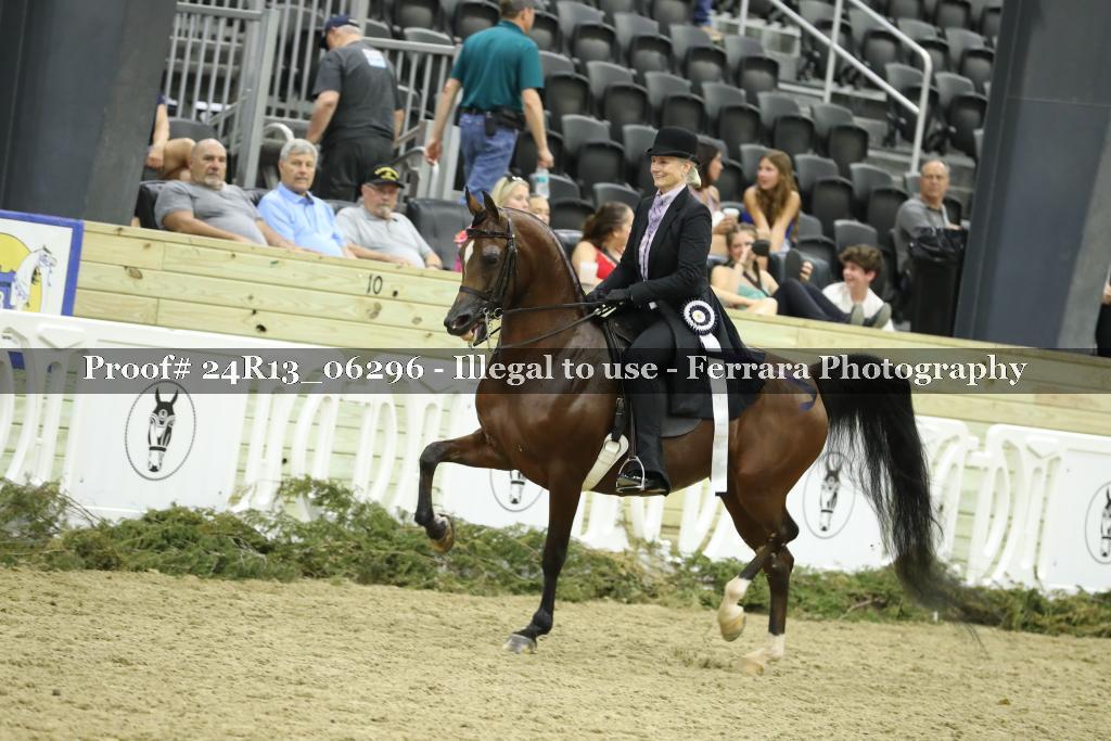 Proof 24R13_06296
