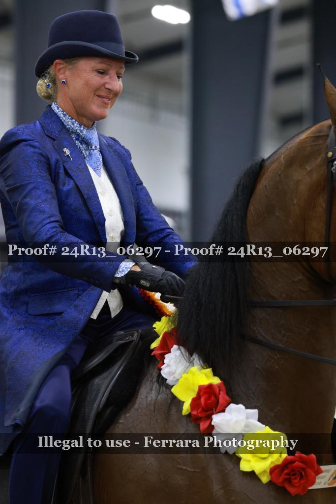 Proof 24R13_06297
