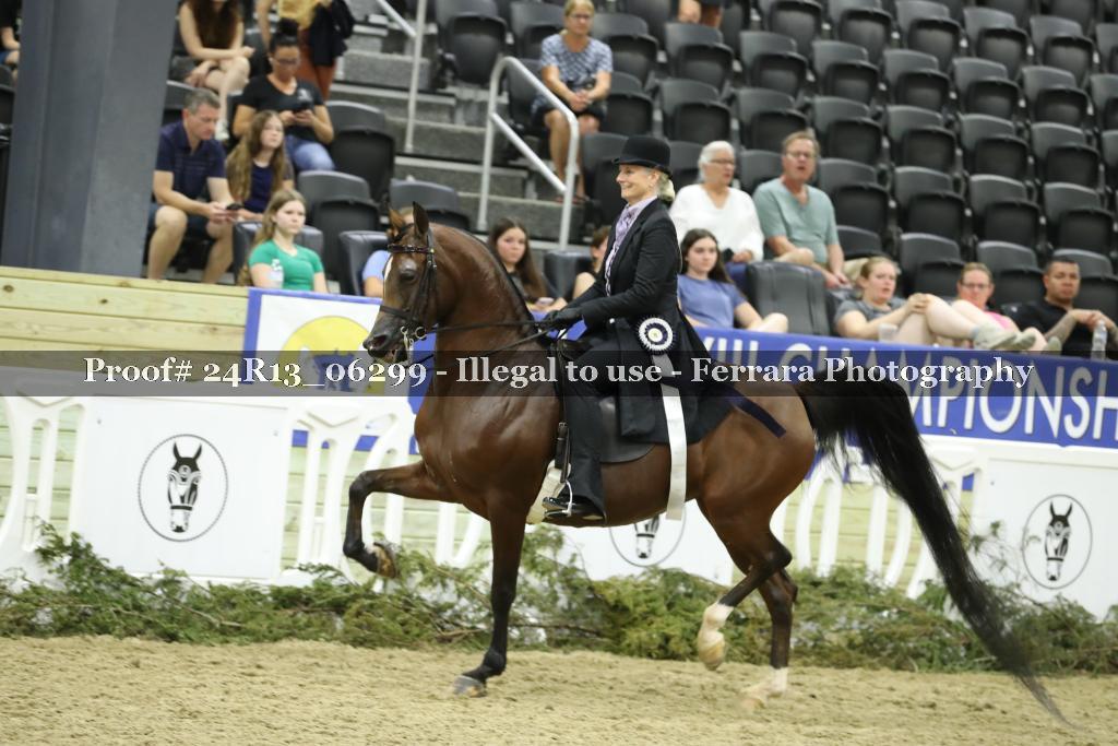 Proof 24R13_06299