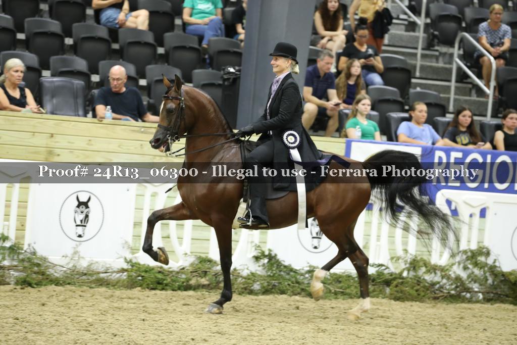 Proof 24R13_06300