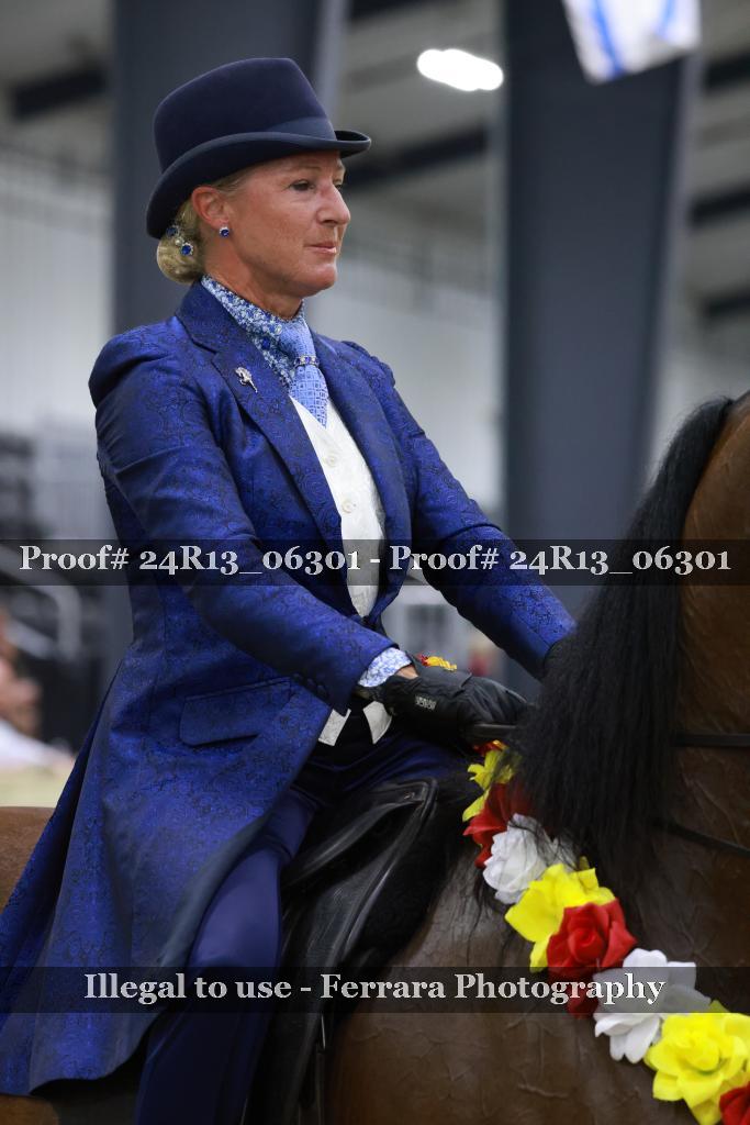 Proof 24R13_06301