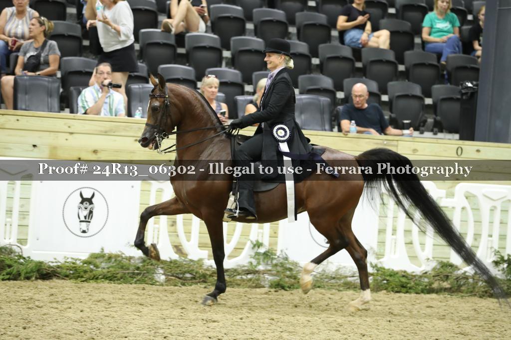 Proof 24R13_06302