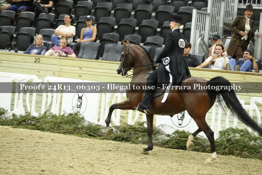 Proof 24R13_06303