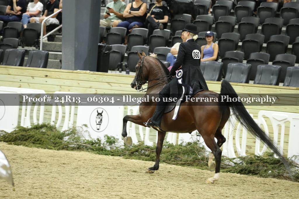 Proof 24R13_06304