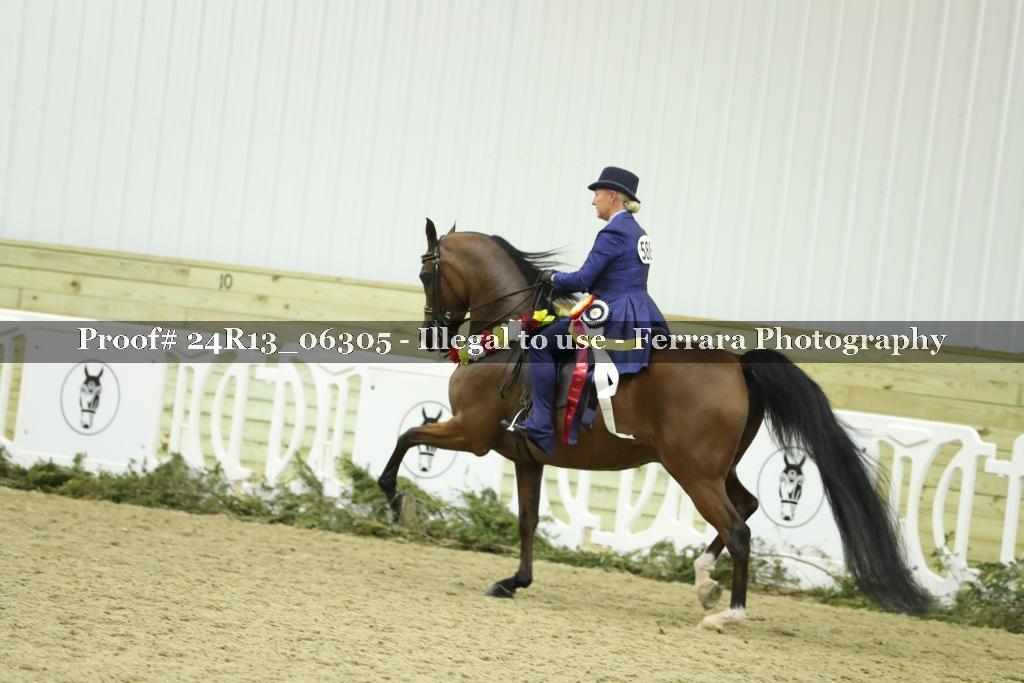 Proof 24R13_06305