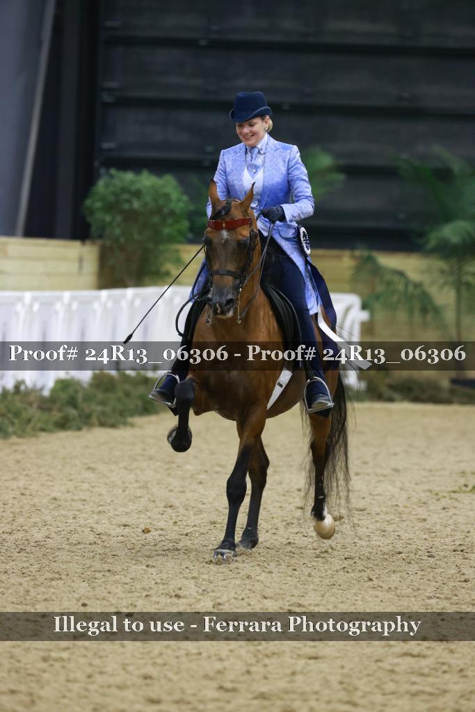 Proof 24R13_06306