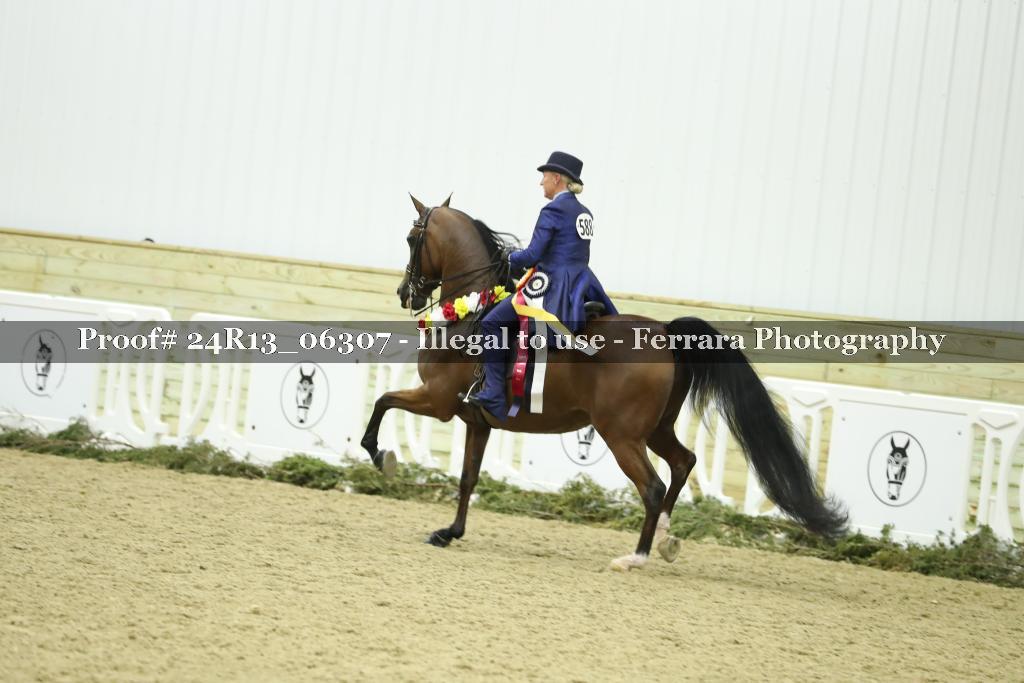 Proof 24R13_06307
