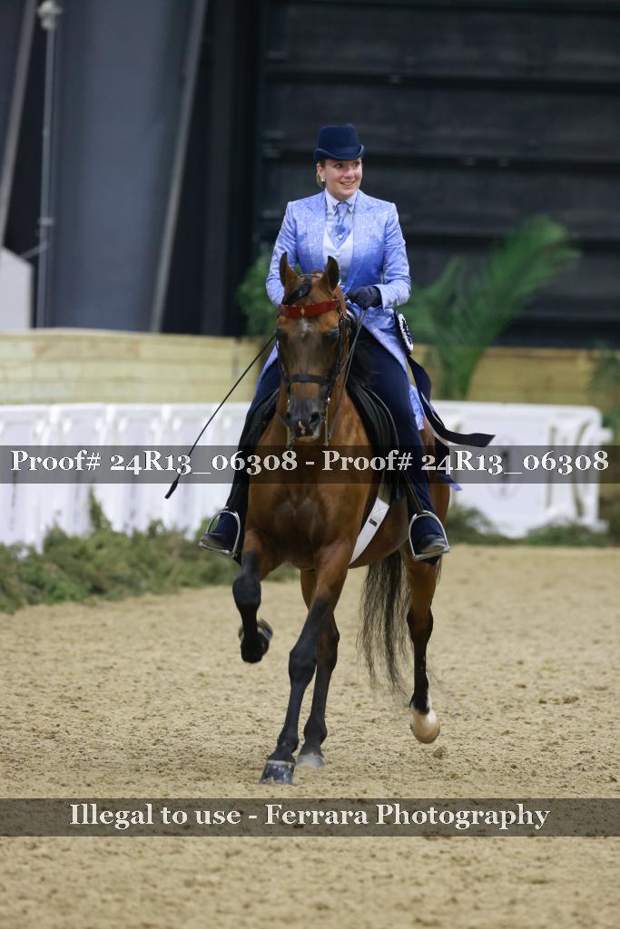 Proof 24R13_06308