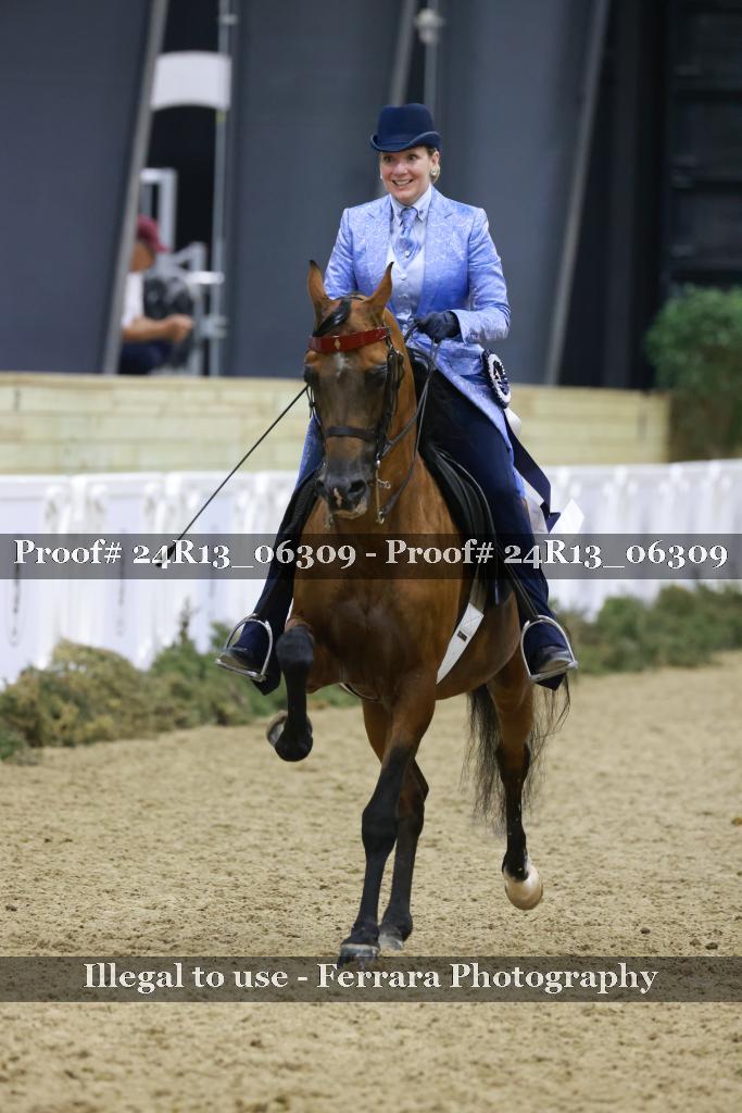 Proof 24R13_06309