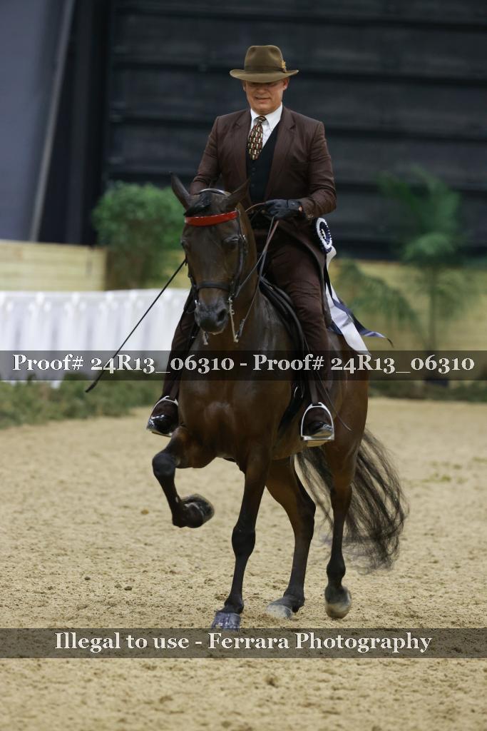 Proof 24R13_06310