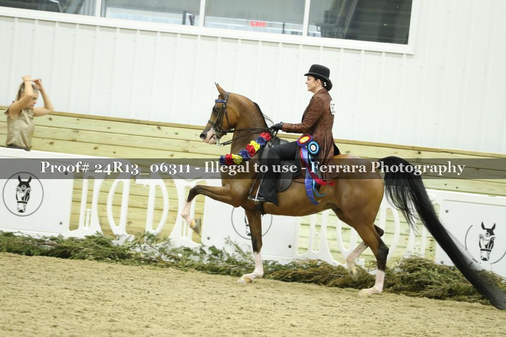 Proof 24R13_06311