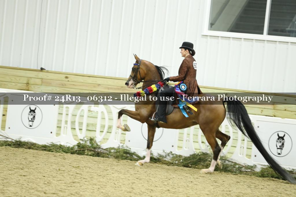 Proof 24R13_06312
