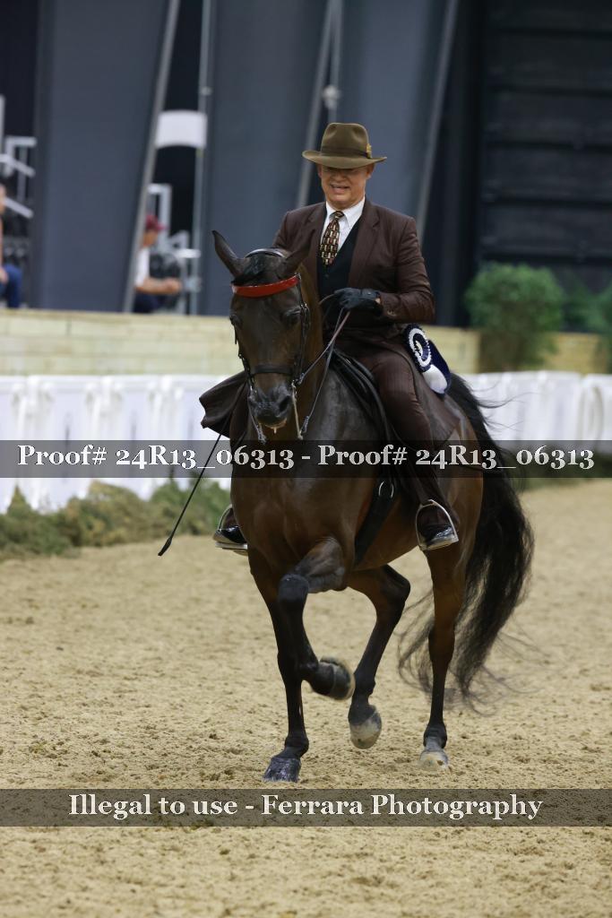 Proof 24R13_06313