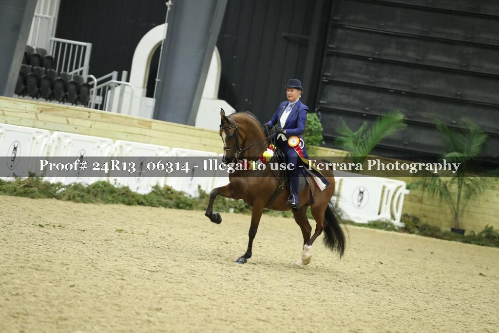 Proof 24R13_06314