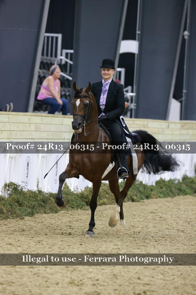 Proof 24R13_06315