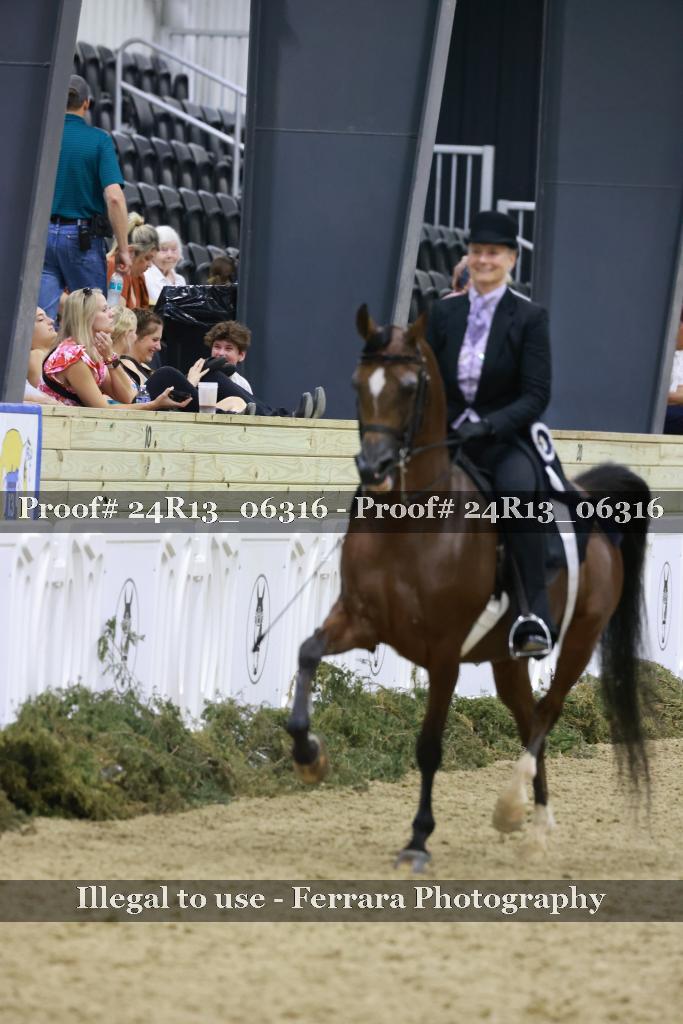 Proof 24R13_06316