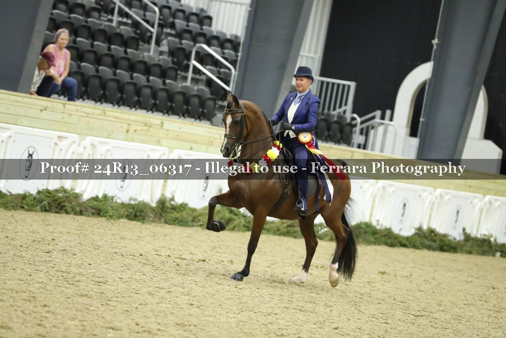 Proof 24R13_06317
