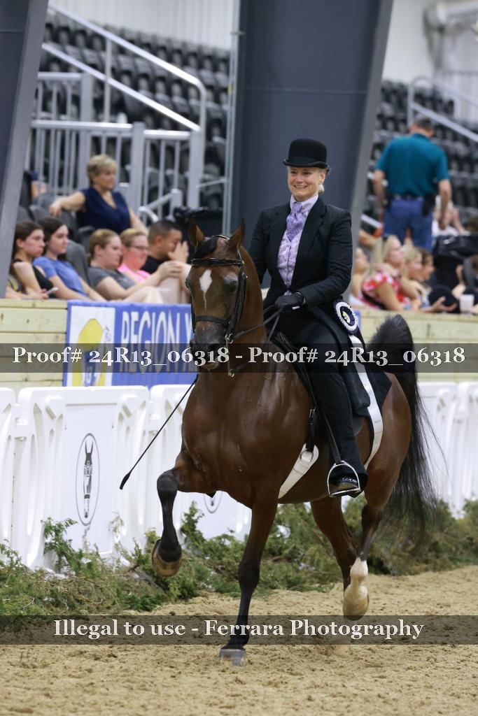 Proof 24R13_06318