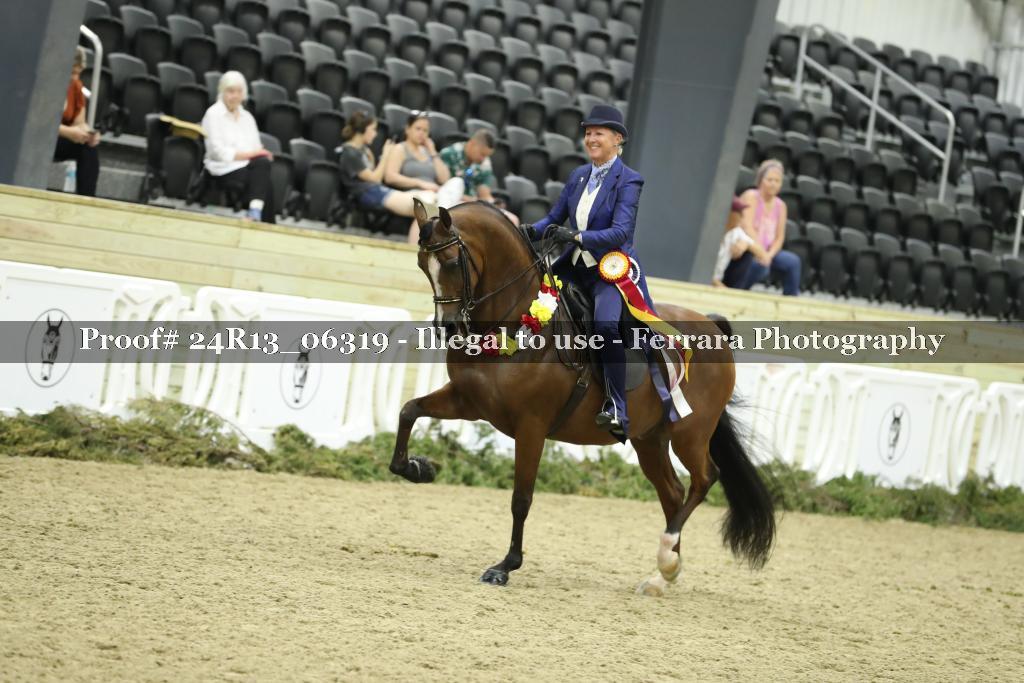 Proof 24R13_06319