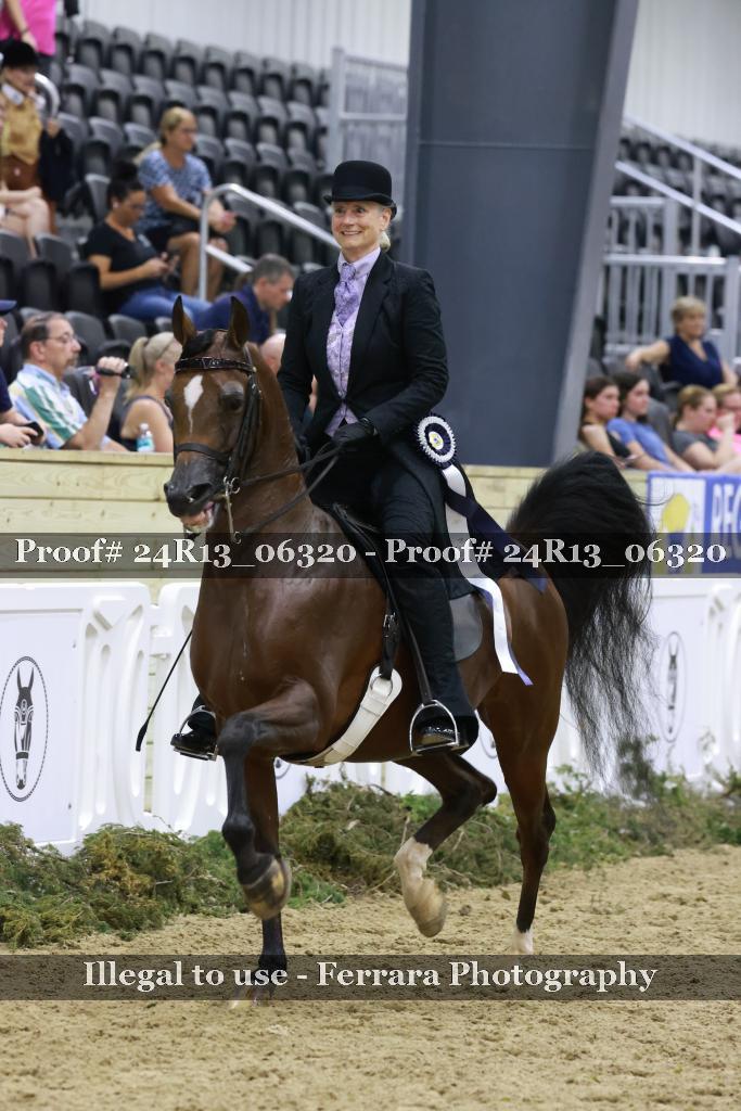 Proof 24R13_06320