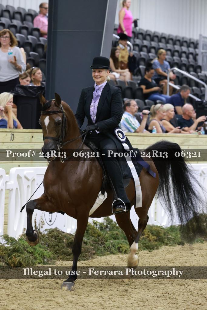 Proof 24R13_06321