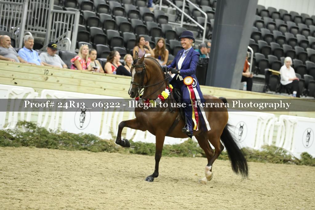 Proof 24R13_06322