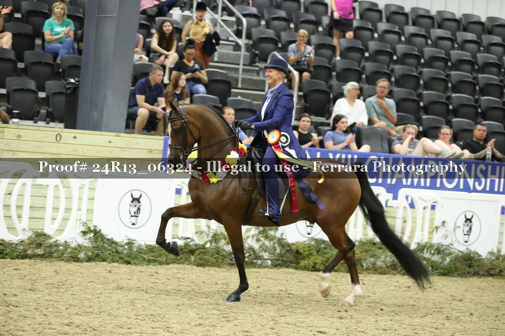 Proof 24R13_06324