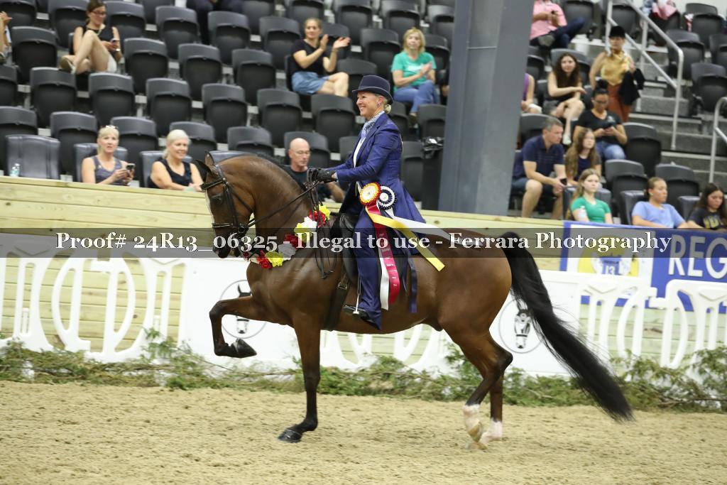 Proof 24R13_06325