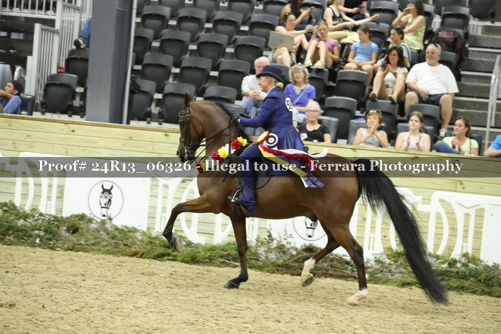 Proof 24R13_06326